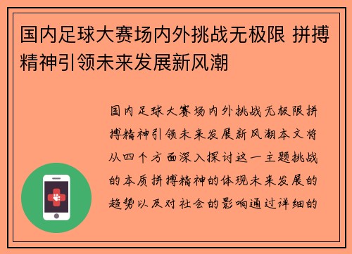 国内足球大赛场内外挑战无极限 拼搏精神引领未来发展新风潮