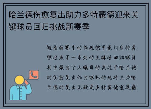 哈兰德伤愈复出助力多特蒙德迎来关键球员回归挑战新赛季