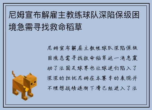 尼姆宣布解雇主教练球队深陷保级困境急需寻找救命稻草
